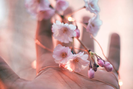 Spring Inspired Glow